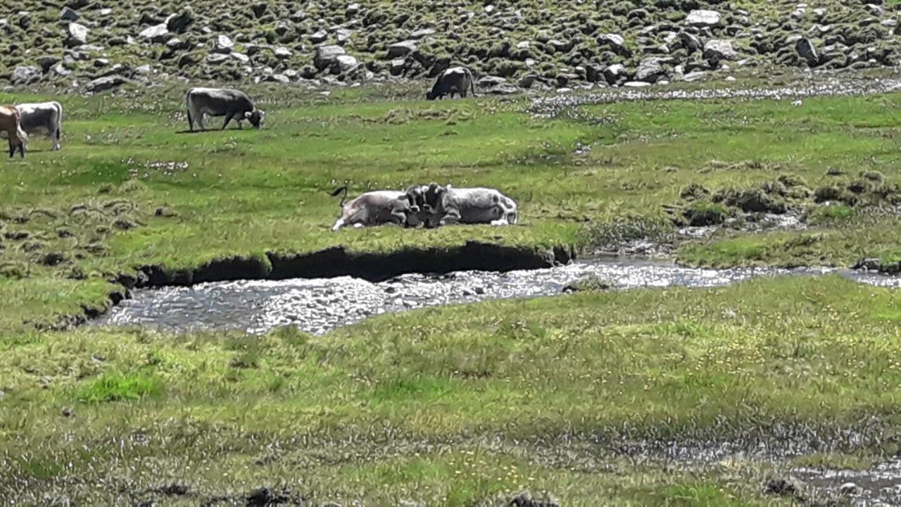 Haus Am Rechten Fleck Kaunertal Luaran gambar