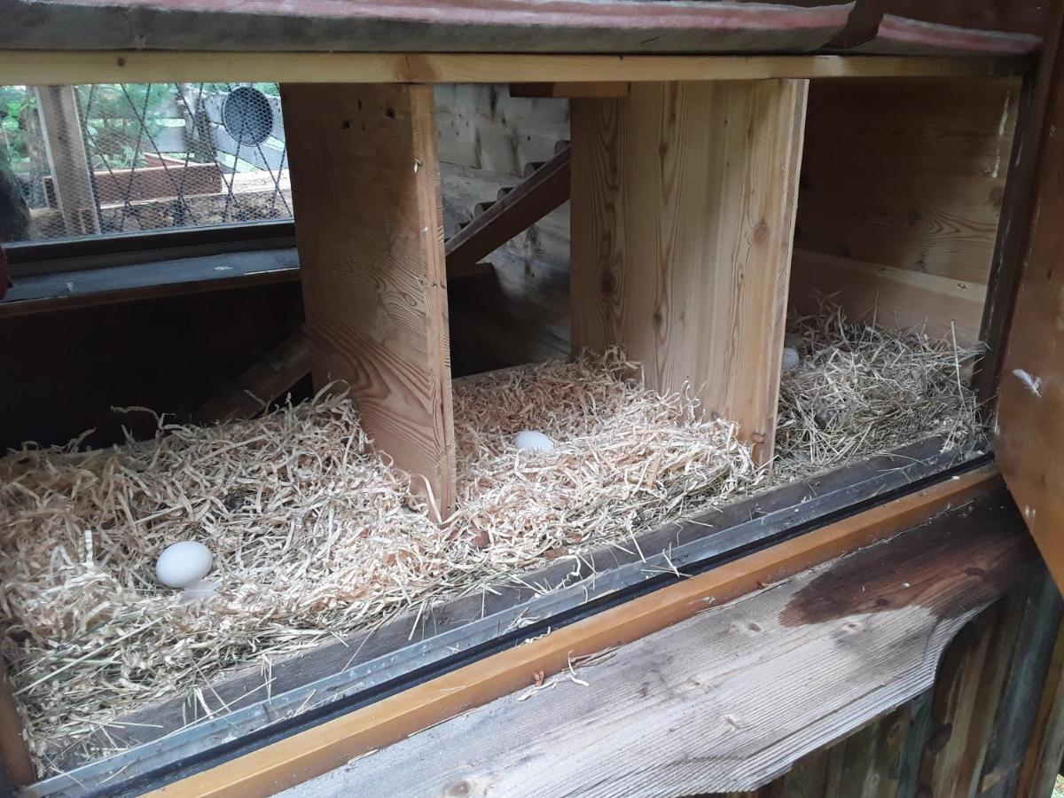 Haus Am Rechten Fleck Kaunertal Luaran gambar