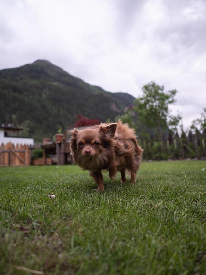 Haus Am Rechten Fleck Kaunertal Luaran gambar