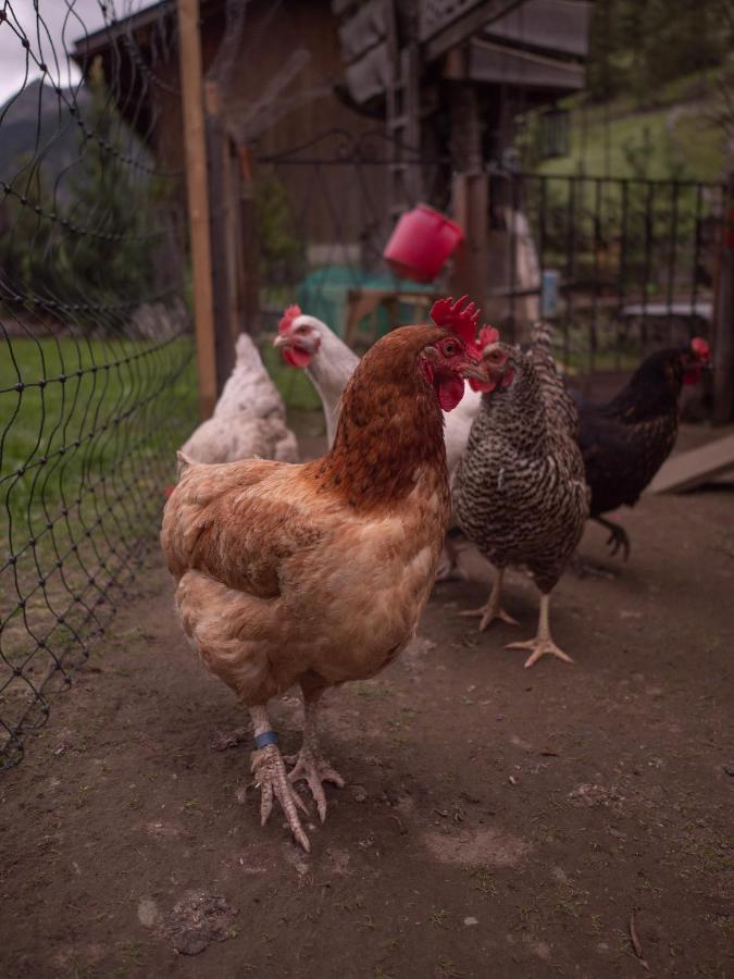 Haus Am Rechten Fleck Kaunertal Luaran gambar